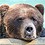DespairBear